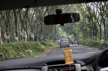 On the Route to Thekkady_DSC7037_H600